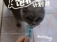 -狼山风景名胜区