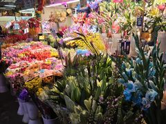 -花鸟鱼虫鲜花绿植市场(玉泉路店)