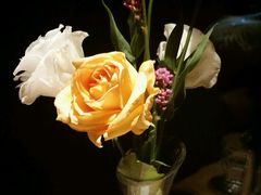 -VOYAGE COFFEE(北锣鼓巷店)