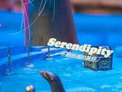 -烟台海昌鲸鲨海洋公园