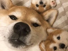 -猫头鹰照相馆(国贸店)