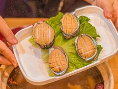 -邹开喜·炭炉鸡煲·海鲜火锅(虹口足球场店)