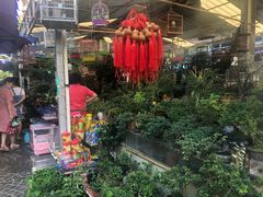 -曲阳花鸟市场(曲阳路店)