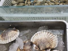 水产区-顺鑫石门市场