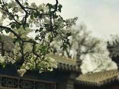 -保定直隶总督署博物馆