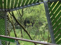 -西湖风景区-江洋畈生态公园