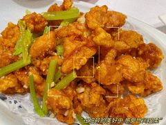 宝贝爱吃的蒜香鸡-津悦·正阳春烤鸭(红旗南路店)