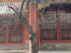 -故宫博物院(故宫)