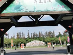 -上海海湾国家森林公园