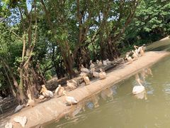 -广州长隆飞鸟乐园