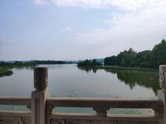 -东湖落雁景区
