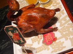 -大鸽饭(北京路店)