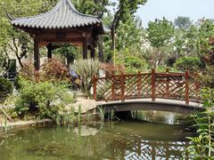 -山东省千佛山医院