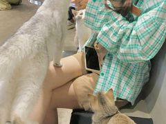 -浣熊柯尔鸭土拨鼠·电玩咖