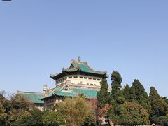 -武汉大学-樱园