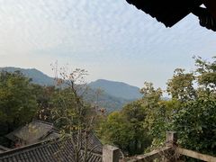 -中国茶叶博物馆(双峰馆区)