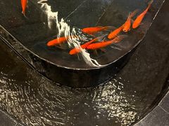 -杭州温德姆至尊豪廷大酒店