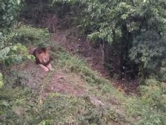 -青岛森林野生动物世界