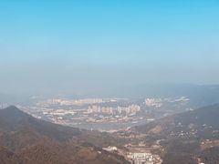 -大金鹰园