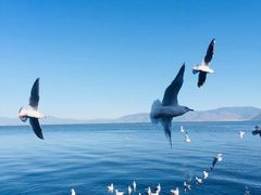 -大理无舍度假酒店