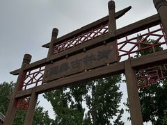 -御林古桑园