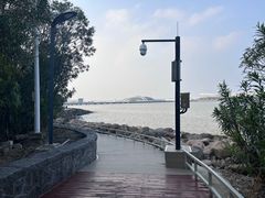 -上海吴淞炮台湾国家湿地公园