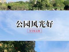 -青枫公园
