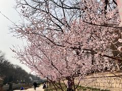 -元大都城垣遗址公园