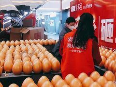 -索菲亚衣柜橱柜家具全屋定制(汶水红星店)