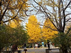 -晋祠公园