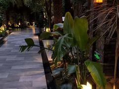 -云境生态园(红谷滩店)