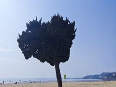 -青岛第一海水浴场