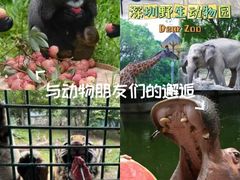 -深圳野生动物园
