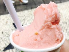 -柠檬车露(卖草地店)