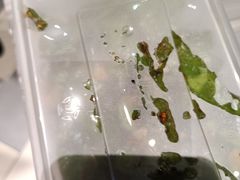 -湘当爱·鲜煮现炒(松岗立业路店)