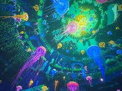 -海合安成都极地海洋公园
