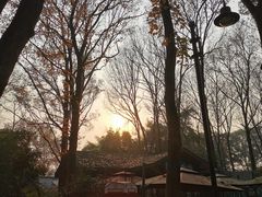 -东湖磨山景区