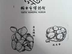 -烟台市博物馆