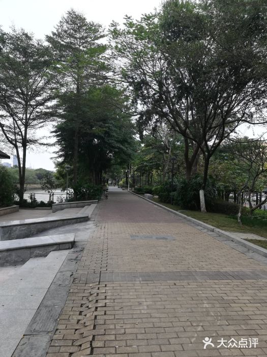 怡海公园(桂城街道)图片