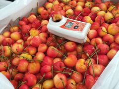 -上海龙吴水胜海发市场