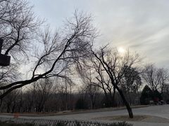 -北京西山国家森林公园