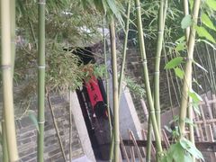 -鄞州雪菜博物馆