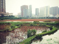 -龙环葡韵住宅式博物馆