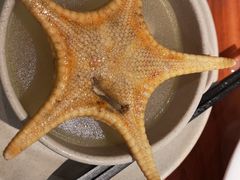 -千岛蚝高压锅生蚝·人参火锅(白云万达店)