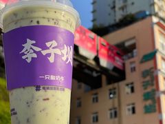 -一只酸奶牛(春熙路店)