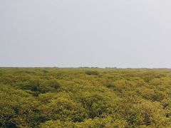 -北海金海湾红树林生态旅游区