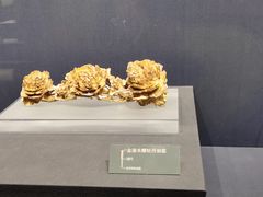 -温州博物馆