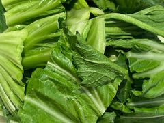 广东大芥菜-粤来记·啫啫煲·点心(日月光店)