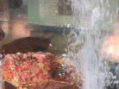 -越海渔村