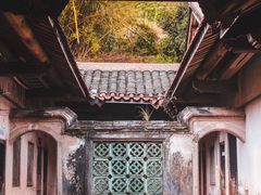 -雁南飞茶田景区
